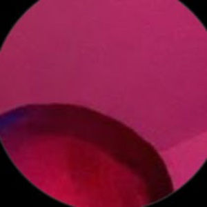 Meet your Posher, Adri michia